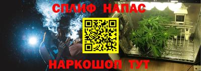 наркотики Гай