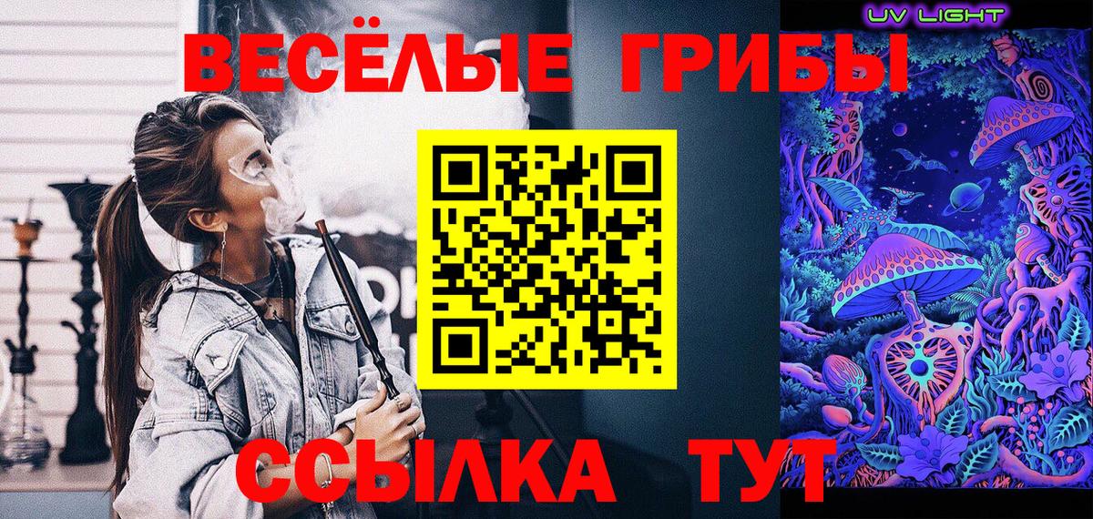 Нижнекамск  Псилоцибиновые грибы GOLDEN TEACHER  Вход с VPN  Псилоцибиновые грибы MAGIC MUSHROOMS 